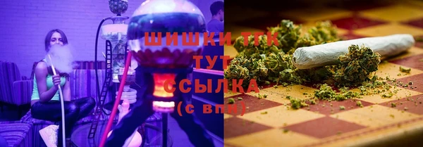ГАЛЛЮЦИНОГЕННЫЕ ГРИБЫ Арсеньев