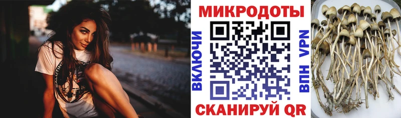 Псилоцибиновые грибы GOLDEN TEACHER  Фролово 